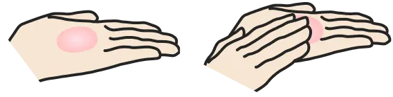 手のひらに取る