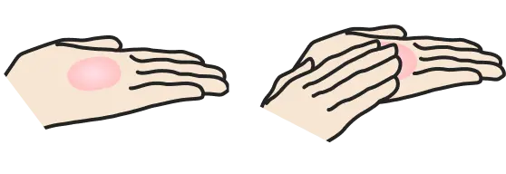 手のひらに取る