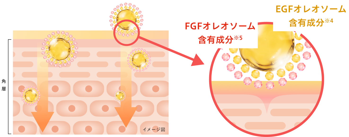 次世代美肌因子(保湿)を高濃度2%配合で全方位ケア