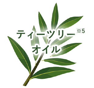 ティーツリーオイル